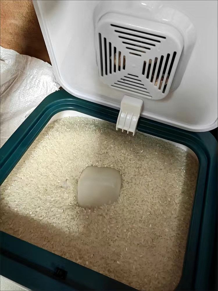 Seau à riz domestique, boîte de stockage de riz scellée, résistante aux insectes et à l'humidité, réservoir de stockage de farine de cuisine, seau à nouilles, seau de stockage de riz