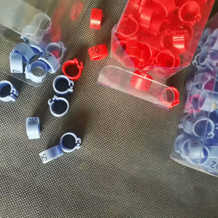 Anneau de pied en plastique pour patte d’oiseau, Anneau de pied de pigeon, Étiquette d’anneaux de pied pour oiseaux